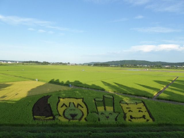 イメージ 3