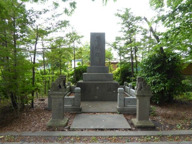 イメージ 50