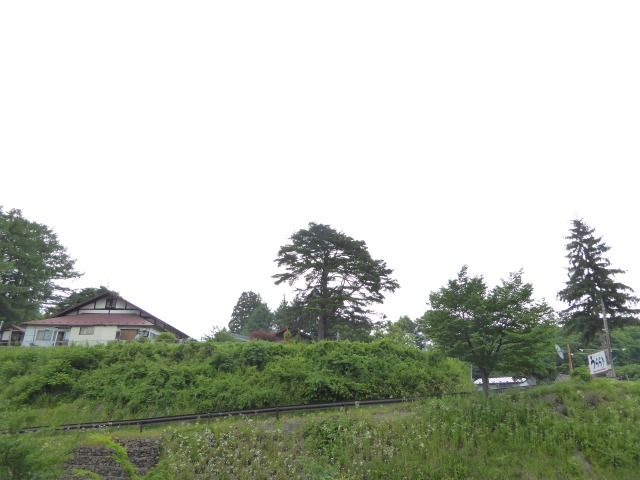 イメージ 6
