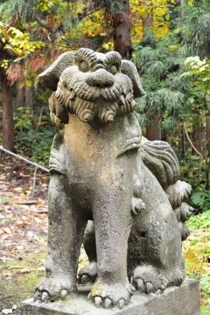 イメージ 15