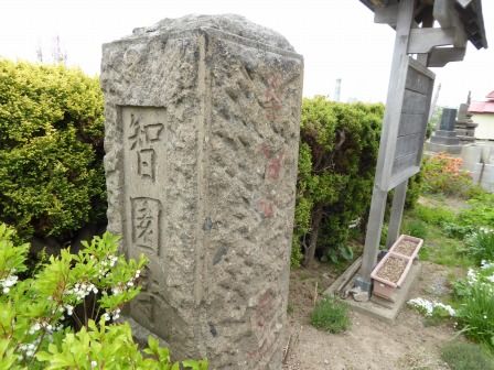 イメージ 4