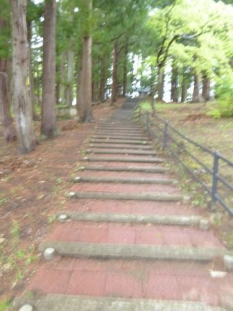 イメージ 10
