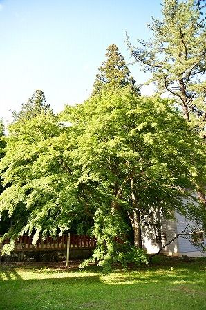 イメージ 18