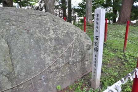 イメージ 7