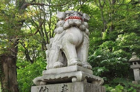 イメージ 7