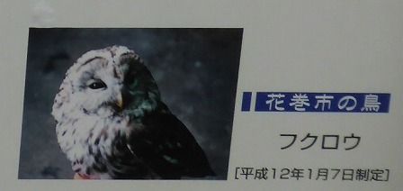 イメージ 44