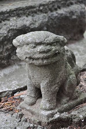 イメージ 14