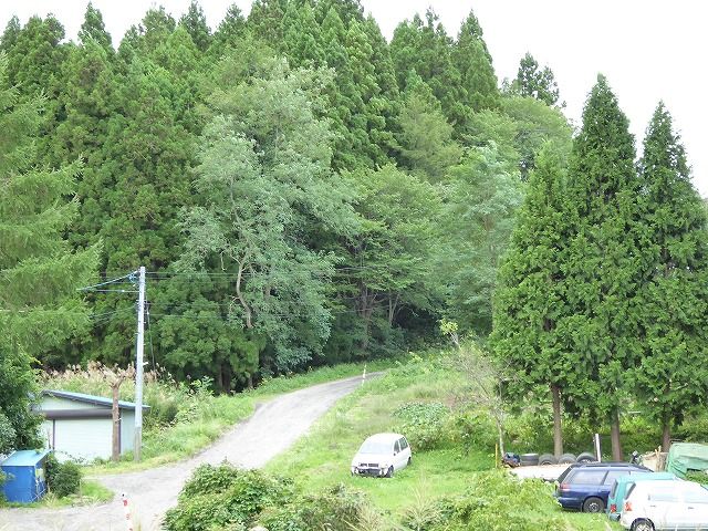 イメージ 1