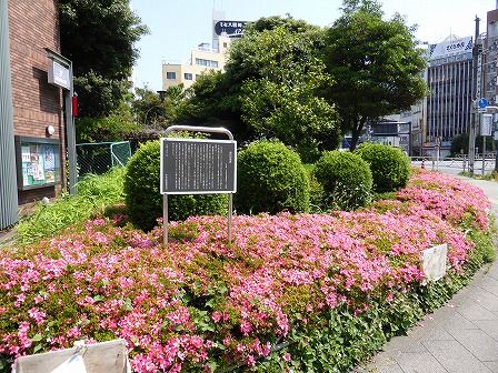 イメージ 5