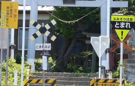 イメージ 10