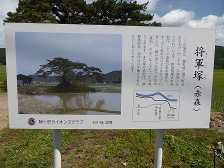 イメージ 7
