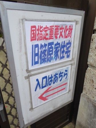 イメージ 9