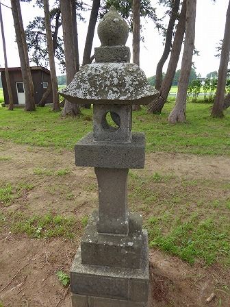 イメージ 7