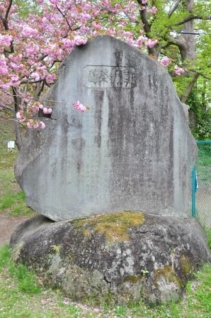 イメージ 18