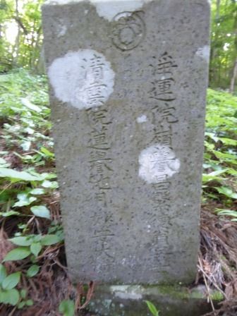 イメージ 46