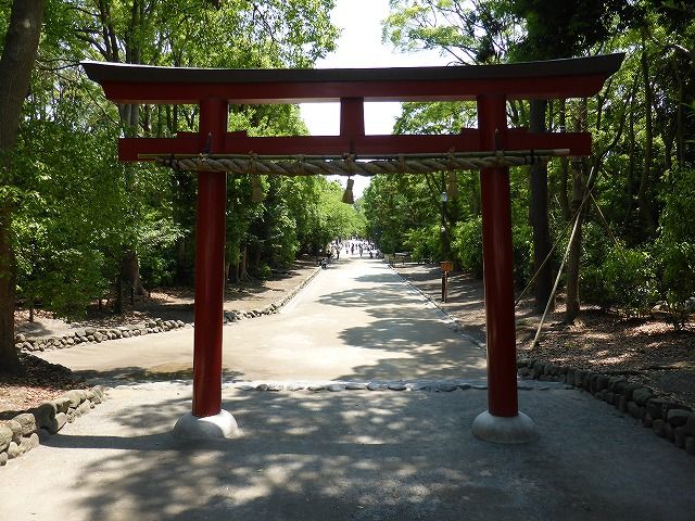 イメージ 10