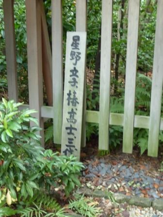 イメージ 31