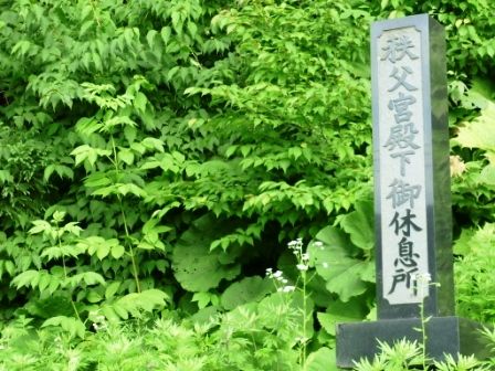 イメージ 12