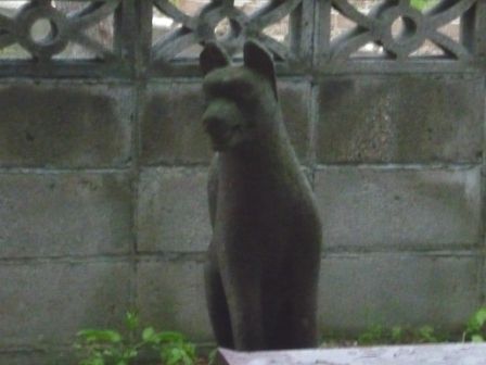 イメージ 17