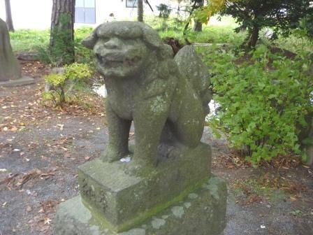 イメージ 7
