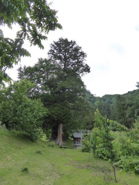 イメージ 9