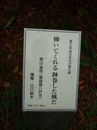 イメージ 6
