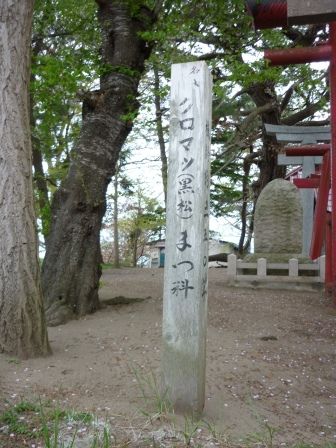 イメージ 14