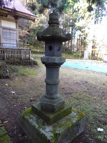25