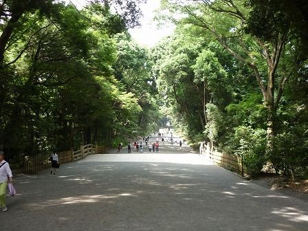イメージ 7