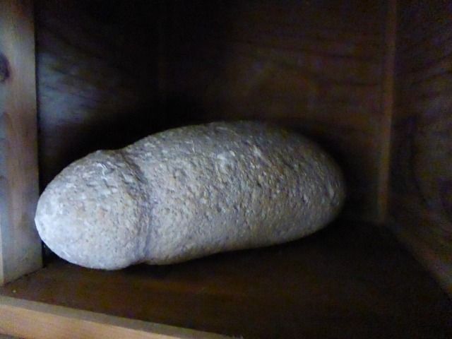 イメージ 15
