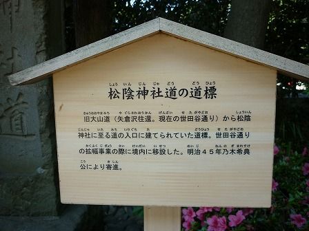 イメージ 17