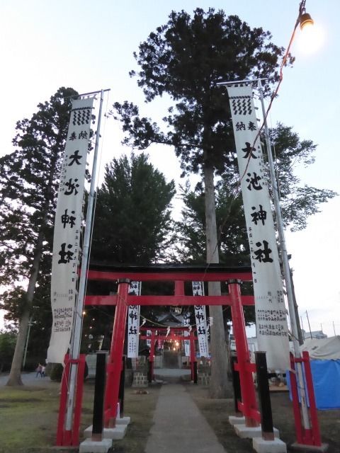 イメージ 6