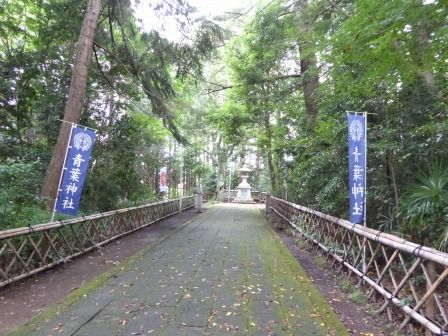 イメージ 18