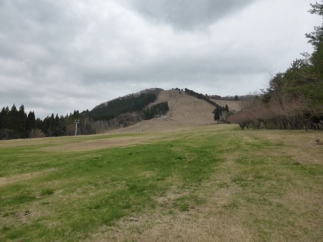 イメージ 5