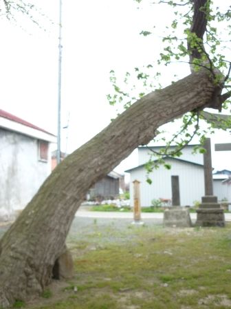 イメージ 3