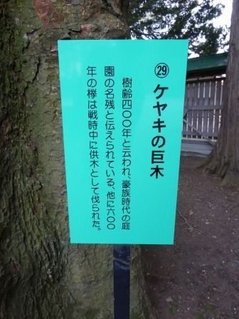 イメージ 40