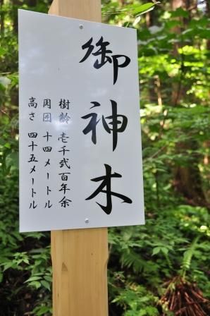 イメージ 37