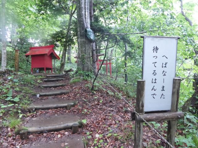 イメージ 36