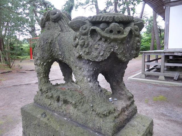 イメージ 19