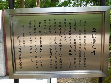イメージ 17