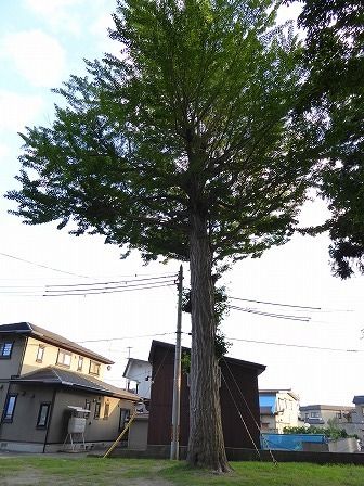 イメージ 23