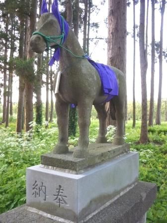 イメージ 12