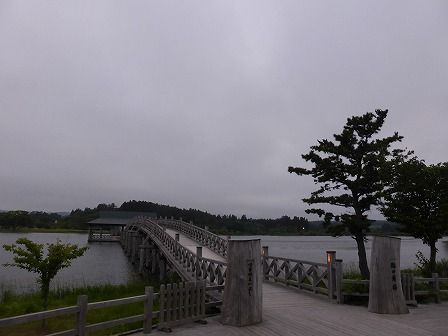 イメージ 9