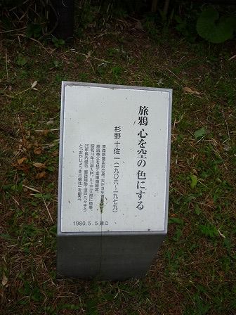 イメージ 20