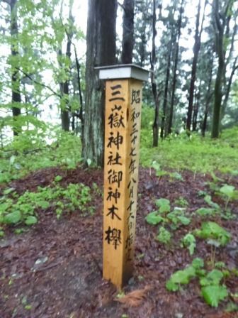 イメージ 20