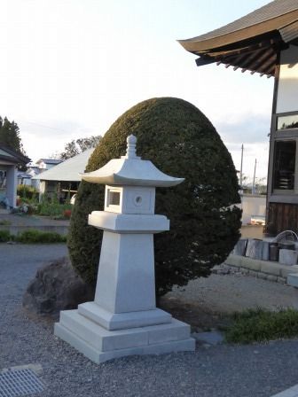 イメージ 14