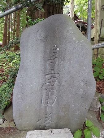 イメージ 5