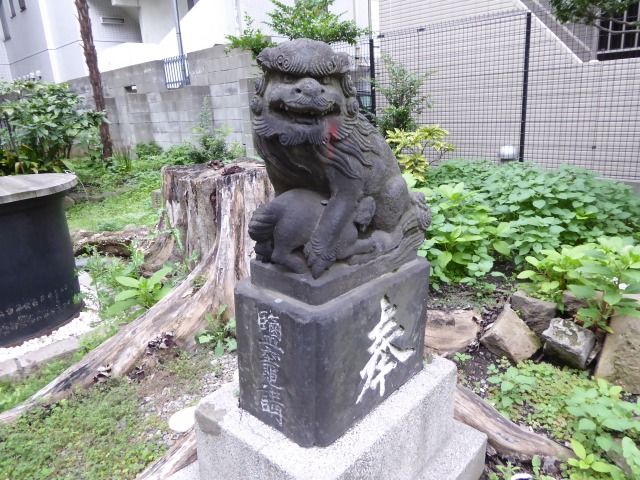 イメージ 2