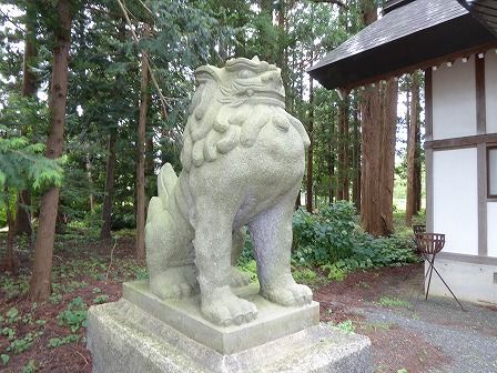 イメージ 20