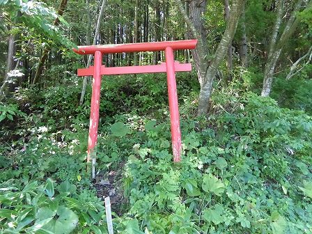 イメージ 1